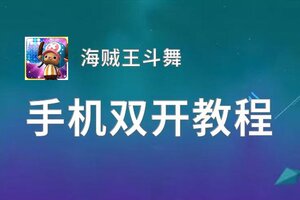 有没有海贼王斗舞双开软件推荐 深度解答如何双开海贼王斗舞