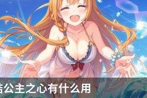 公主连结公主之心有什么用