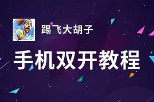 踢飞大胡子如何双开 2020最新双开神器来袭