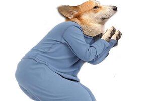 《山海幻境》❄ 大雪｜我们正式步入——需要穿秋裤的季节