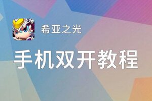 希亚之光双开挂机软件推荐  怎么双开希亚之光详细图文教程