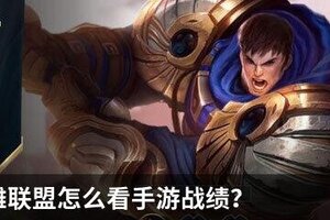 掌上英雄联盟怎么看手游战绩