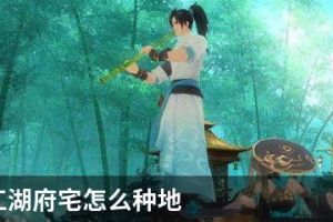 新笑傲江湖府宅怎么种地