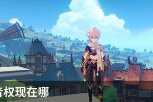 原神雷音权现在哪
