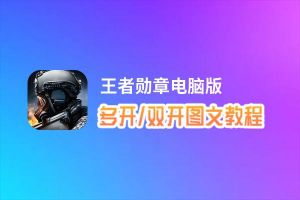 王者勋章怎么双开、多开？王者勋章双开助手工具下载安装教程