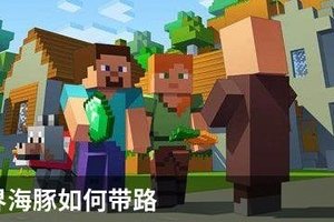 我的世界海豚如何带路