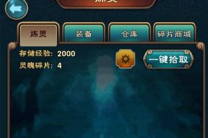 伙伴炼灵的选择与搭配