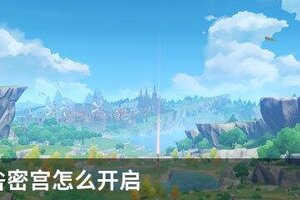 无妄引咎密宫怎么开启