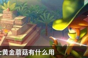 元气骑士黄金蘑菇有什么用