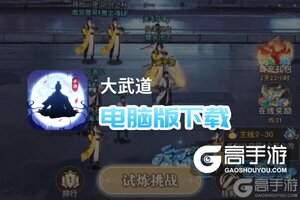 大武道电脑版下载 怎么下载大武道电脑版模拟器