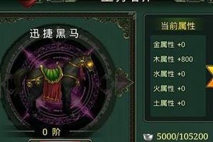 骑宠系统介绍