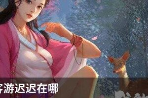 我的侠客游迟迟在哪