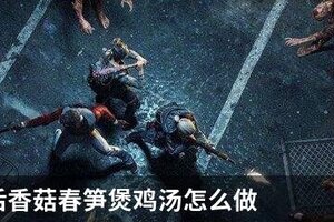 明日之后香菇春笋煲鸡汤怎么做