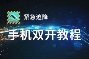 紧急迫降挂机软件&双开软件推荐  轻松搞定紧急迫降双开和挂机