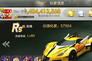 龙魂技能满级属性升级费用详解