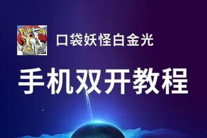 口袋妖怪白金光挂机软件&双开软件推荐  轻松搞定口袋妖怪白金光双开和挂机