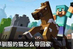 我的世界驯服的猫怎么带回家