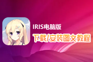 IRIS电脑版下载、安装图文教程　含：官方定制版IRIS电脑版手游模拟器