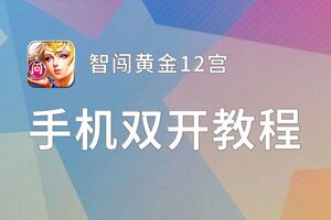 怎么双开智闯黄金12宫？ 智闯黄金12宫双开挂机图文全攻略