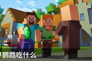 我的世界鹦鹉吃什么