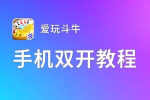 爱玩斗牛双开神器 轻松一键搞定爱玩斗牛挂机双开