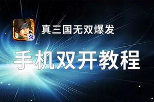 真三国无双爆发双开神器 轻松一键搞定真三国无双爆发挂机双开