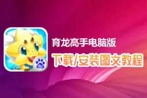 育龙高手电脑版下载、安装图文教程　含：官方定制版育龙高手电脑版手游模拟器