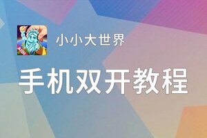 有没有小小大世界双开软件推荐 深度解答如何双开小小大世界
