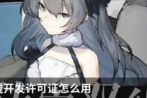 灰烬战线开发许可证怎么用