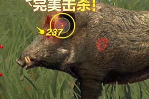 《疯狂神射手》雪原-东北野猪