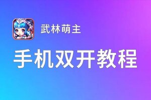 武林萌主如何双开 2021最新双开神器来袭