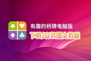 有趣的桥牌电脑版下载、安装图文教程 含：官方定制版有趣的桥牌电脑版手游模拟器