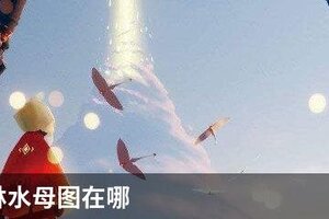 光遇雨林水母图在哪