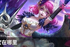 王者夺宝在哪里
