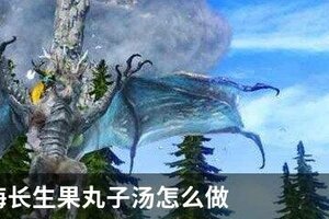 妄想山海长生果丸子汤怎么做