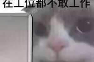 《活下去》关于游戏服务器无法联网的问题