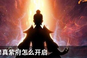 想不想修真紫府怎么开启