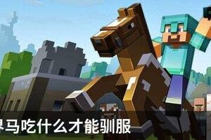 我的世界马吃什么才能驯服