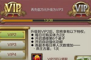 VIP玩法介绍