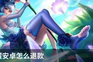 王者荣耀安卓怎么退款