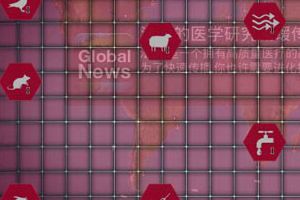 传播途径昆虫传播能力攻略