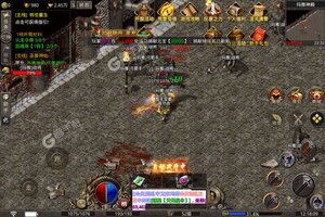 《龙之力量》火爆新服全新版开启 下载全新版迎风起航