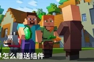 我的世界怎么赠送组件