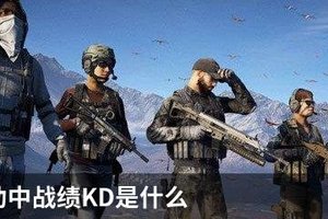 荒野行动中战绩K/D是什么
