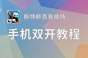 斯特赖克竞技场挂机软件&双开软件推荐  轻松搞定斯特赖克竞技场双开和挂机