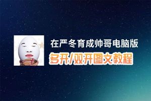 在严冬育成帅哥怎么双开、多开？在严冬育成帅哥双开助手工具下载安装教程