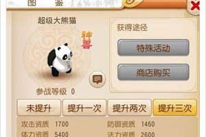 梦幻西游手游超级大熊猫该怎么加点 超级大熊猫加点攻略