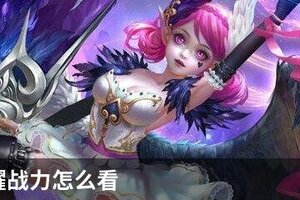 王者荣耀战力怎么看