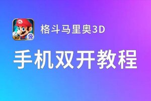 格斗马里奥3D怎么双开  格斗马里奥3D双开挂机软件推荐