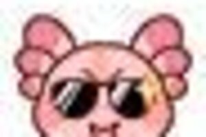 《创造与魔法》闯入圣诞童话！贝雅大陆三款新品解锁冬日浪漫！